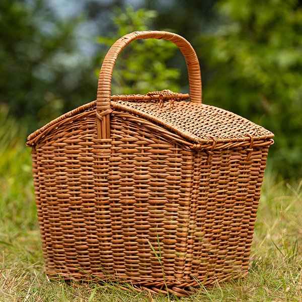picnic_2023